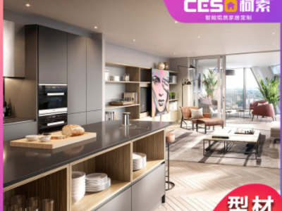 全鋁家具鋁合金整體櫥柜定制 簡易廚房吊柜廚具柜收納柜廠家直銷