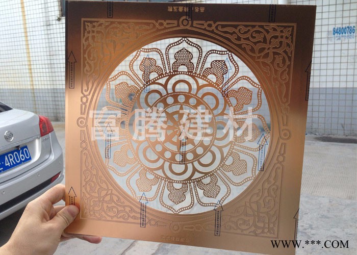 樂斯爾玫瑰金鋁窗花花樣式兒童防護網(wǎng) 防盜窗 鑄花鋁窗花防護陽臺窗紗門窗訂做