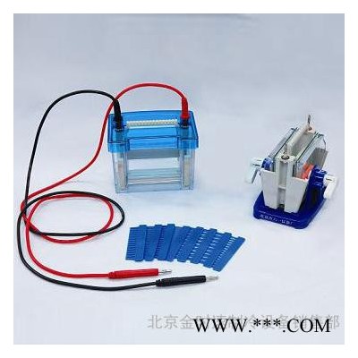 迷你雙垂直電泳儀(槽) 小號(hào)DYCZ-24DN型 北京六一 蛋白凝膠電泳