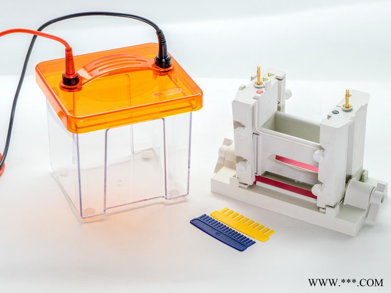 雙膠迷你垂直電泳槽 VE-180高透明度的PMMA槽體 可跑單膠、雙膠