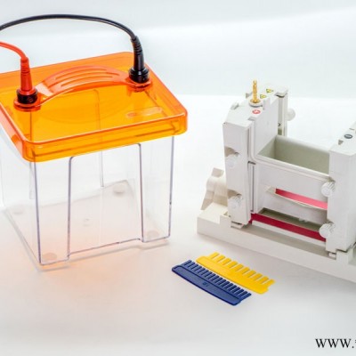 雙膠迷你垂直電泳槽 VE-180高透明度的PMMA槽體 可跑單膠、雙膠