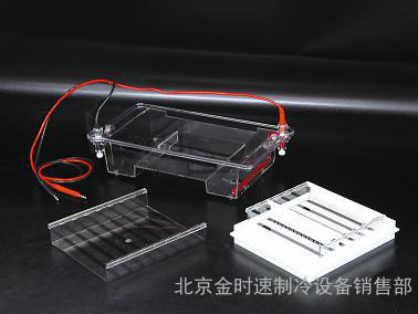 瓊脂糖水平電泳儀槽(中號) DYCP-31E型 橋式設(shè)計 節(jié)省緩沖液