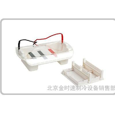 多功能水平電泳槽 HE-120全透明加厚設(shè)計 聚碳酸脂注塑成型無滲漏