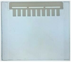 wshtbio 蛋白電泳預(yù)制膠 15%現(xiàn)貨供應(yīng)