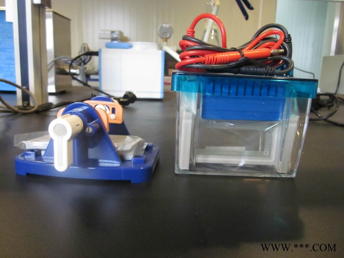 垂直電泳槽北京六一