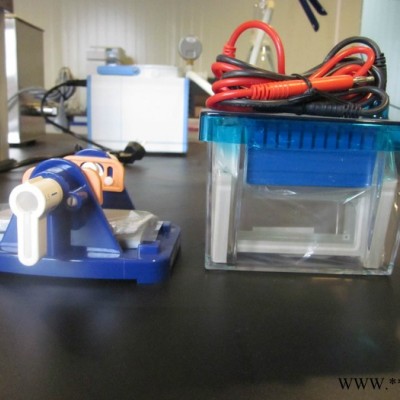 垂直電泳槽北京六一