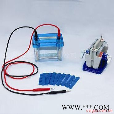 供應(yīng)中科美菱DYCZ-24D迷你雙垂直電泳儀