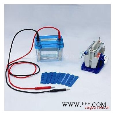 供應(yīng)中科美菱DYCZ-24D迷你雙垂直電泳儀