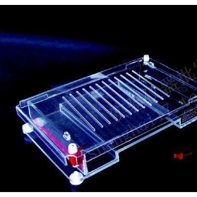 DYCP-31F瓊脂糖水平電泳儀（大）北京六一