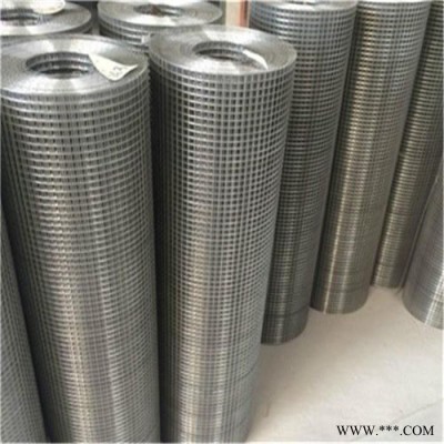 供應(yīng)鍍鋅電焊網(wǎng)片 熱鍍鋅電焊網(wǎng)片 電鍍鋅電焊網(wǎng)片 外墻保溫鍍鋅電焊網(wǎng)片