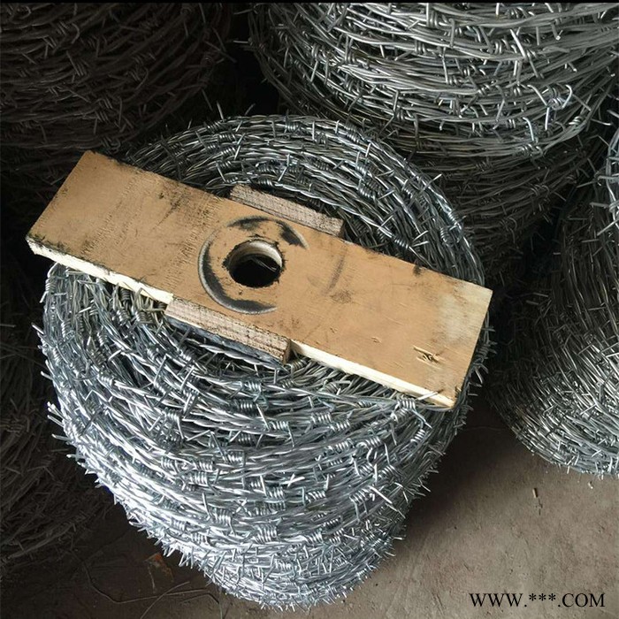 專業(yè)生產(chǎn)電鍍鋅刺繩 熱鍍鋅刺繩  高速公路刺繩  鍍鋅刺繩廠家