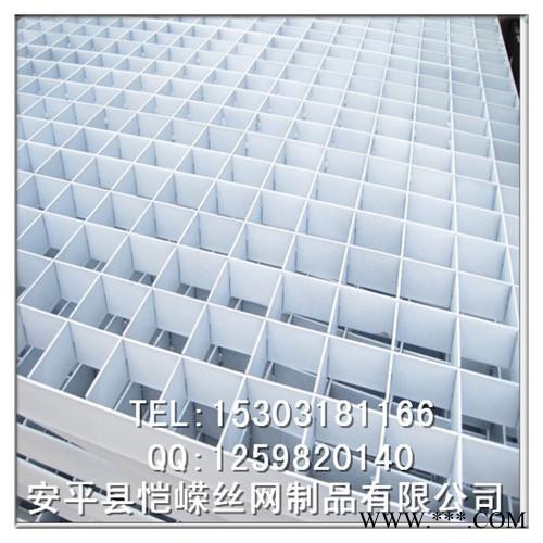 加工定制不銹鋼鋼格板生產(chǎn) 地下室熱鍍水溝蓋板 電鍍廠鋼格柵