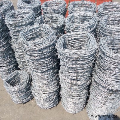 【瑞旗隆】廠家**  電鍍防攀爬刺繩 雙股刺繩成品  刺繩鐵絲網(wǎng) PVC包塑刺繩