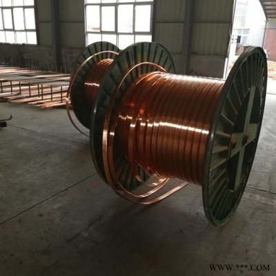 金亞特現(xiàn)貨T2紫銅卷排4*30 -5*30-6*30電鍍導(dǎo)電紫銅排 鍍錫白銅排