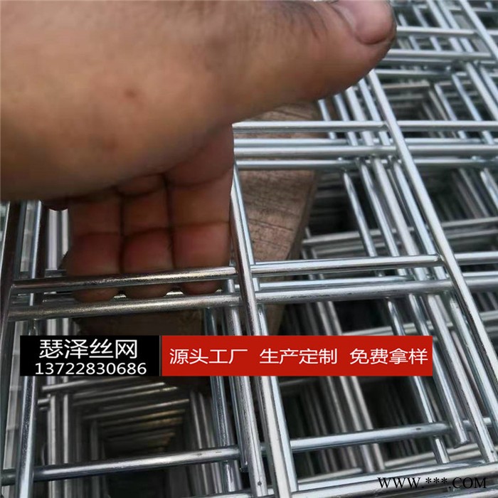 點(diǎn)焊異型網(wǎng)片  電鍍網(wǎng)片 熱度網(wǎng)片  防護(hù)網(wǎng)片 防爬網(wǎng)片  圍欄網(wǎng)片 隔離網(wǎng)片 護(hù)欄異形網(wǎng)片  量大從優(yōu)