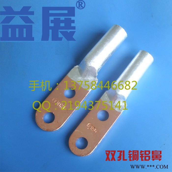 益展DTL2端子DTL-95mm2 雙孔銅鋁鼻子鋁合金 銅鋁線鼻子 雙孔銅鋁接線端子 **