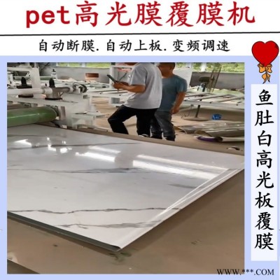 氣動熱壓 密度板貼膜機(jī) 鋁板貼面機(jī) 雙面涂膠多層膠合板貼面機(jī)