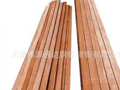 C1100紫銅排 t1 t2接地紫銅排 高導電率紫銅排